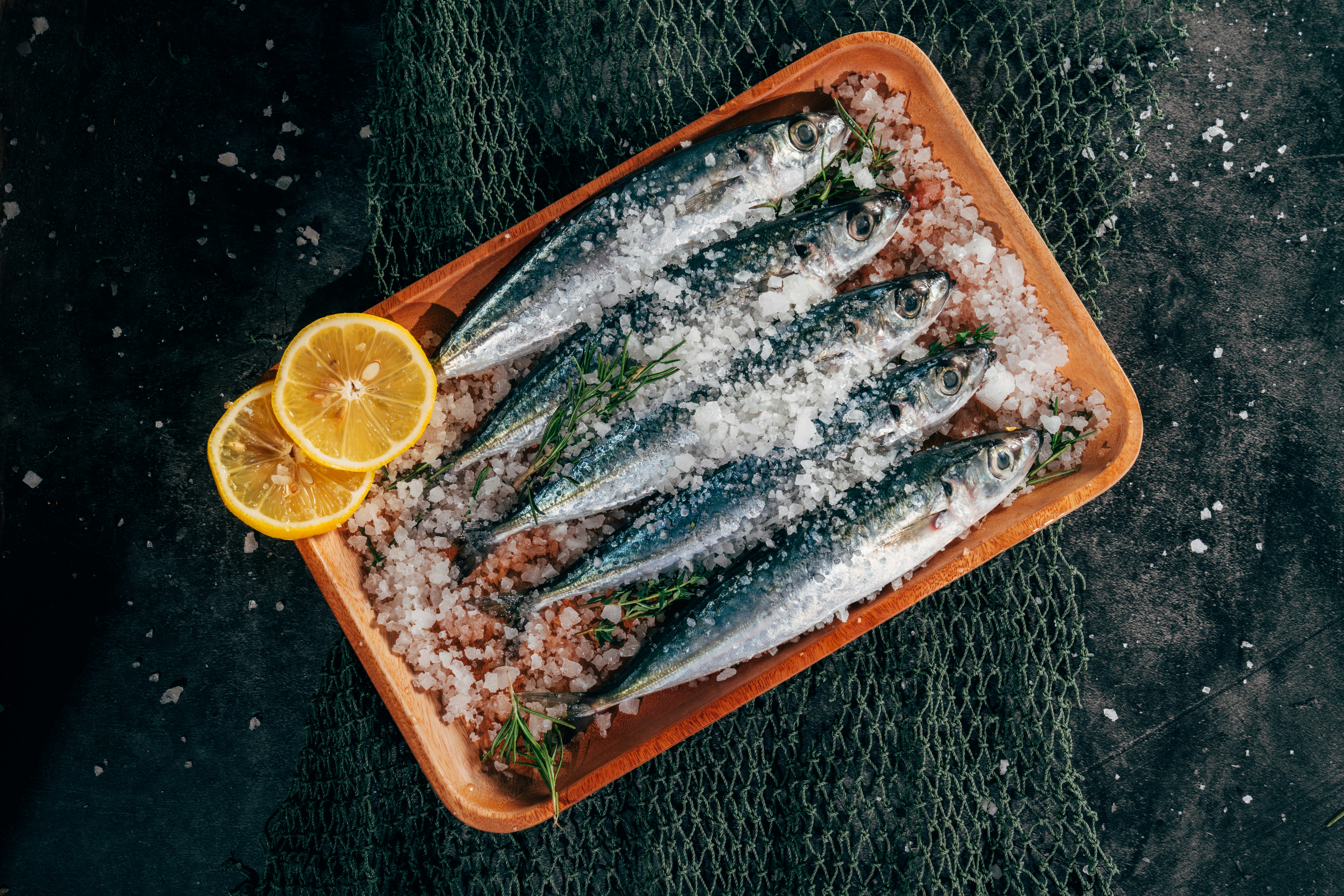 Ракообразные и моллюски